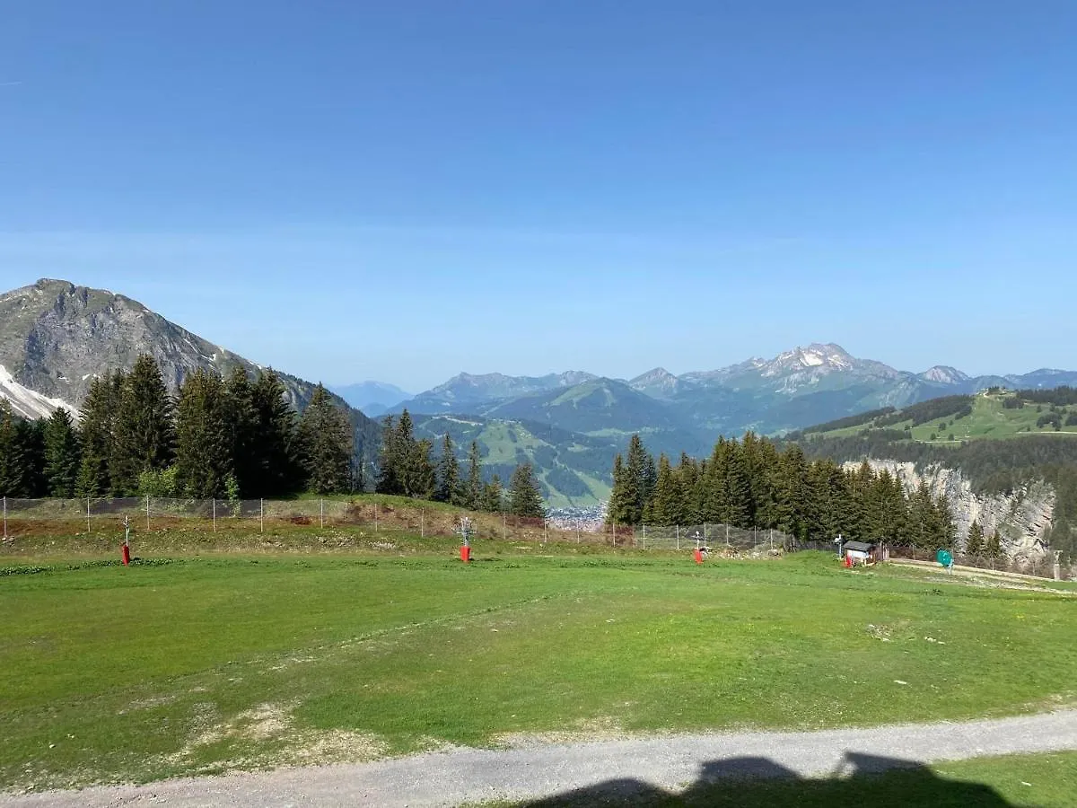 Studio Cabine 4 Pers, Vue, Wifi, Casier A Ski - Avoriaz - Fr-1-314-168 0*,  France